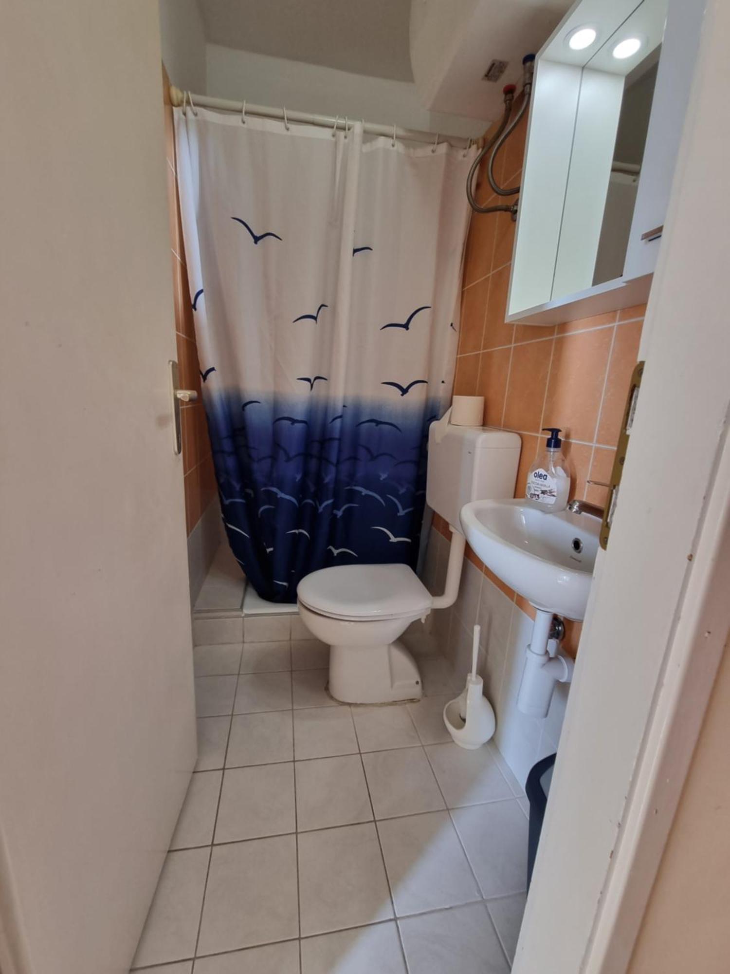 Apartmani Apollo - Драшнице Стая снимка